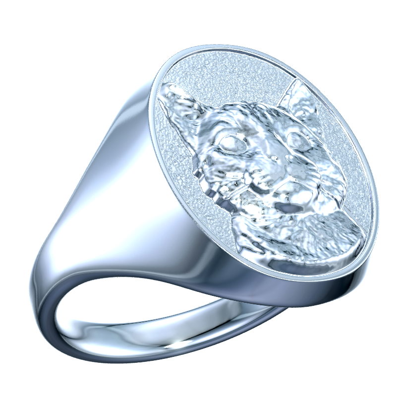 Silver ring with a cat on a white background